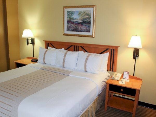 A tidy hotel room with a large bed, two nightstands, matching lamps, a framed landscape painting above, and a soft, warm glow.