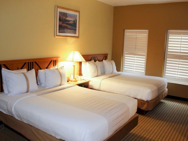 Twin beds with white linens and wooden headboards, a nightstand lamp, and framed art on a two-tone wall in a hotel room.