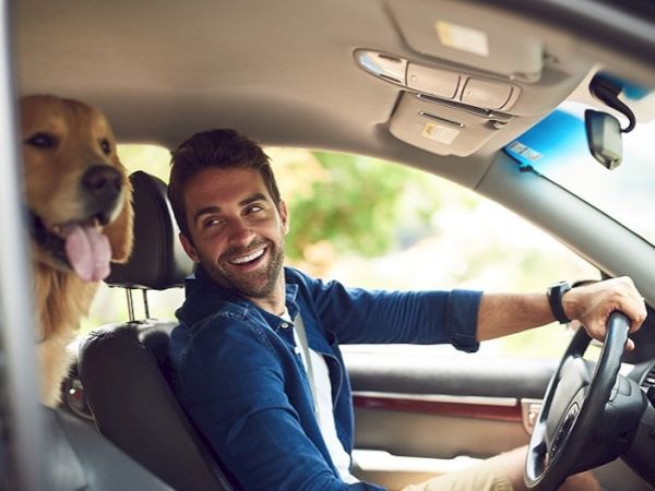 A man driving a car with the passenger seat occupied by a happy dog; both look at the camera, sunny day outside the window.